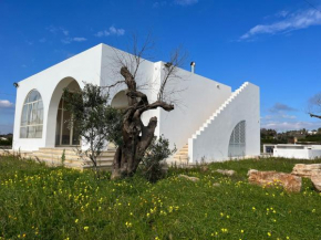 VILLA CAMILLA by salentoltremare Marina Di Pescoluse